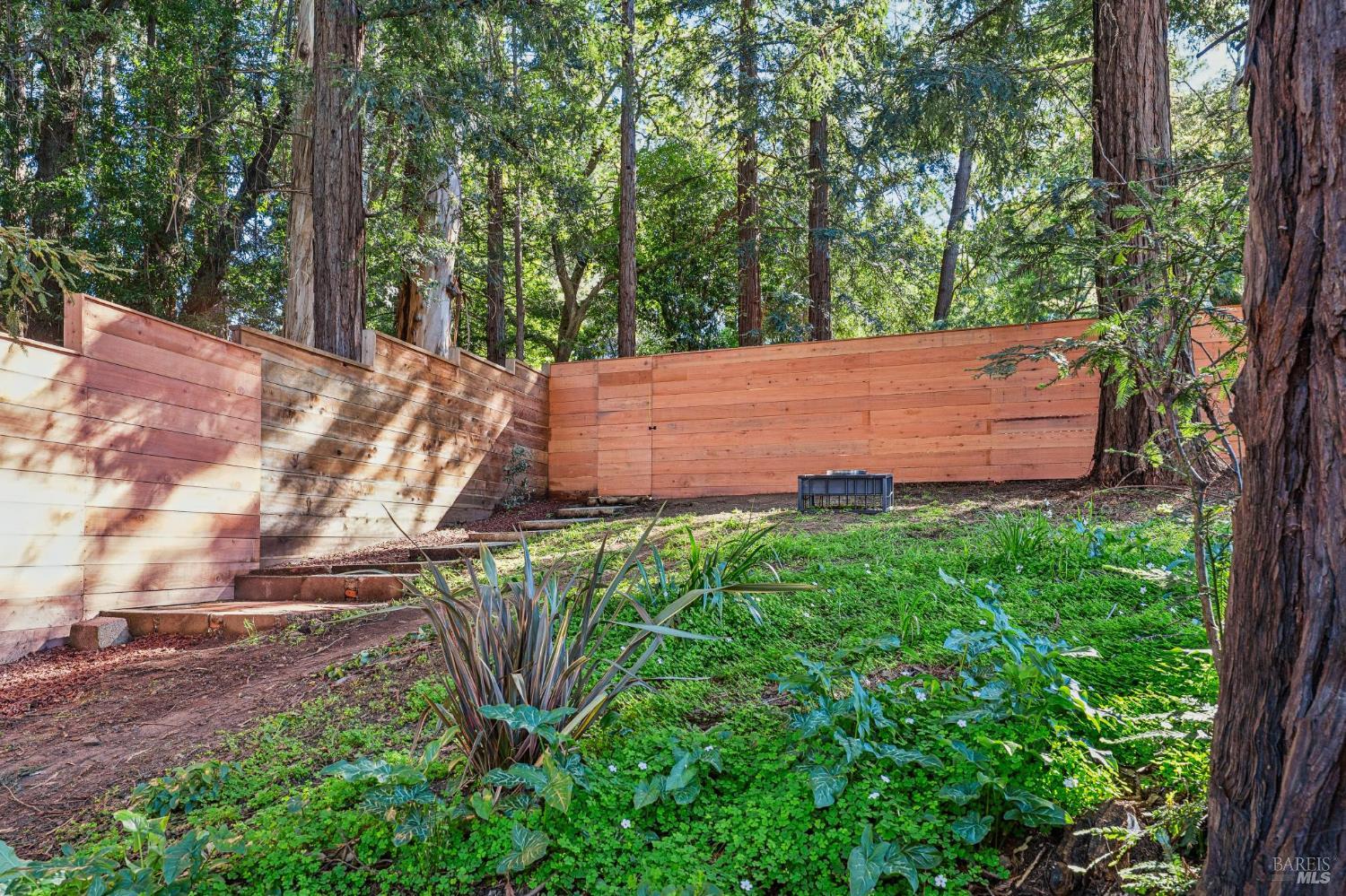 Detail Gallery Image 39 of 88 For 93 Magnolia Ave, Larkspur,  CA 94939 - 3 Beds | 3 Baths