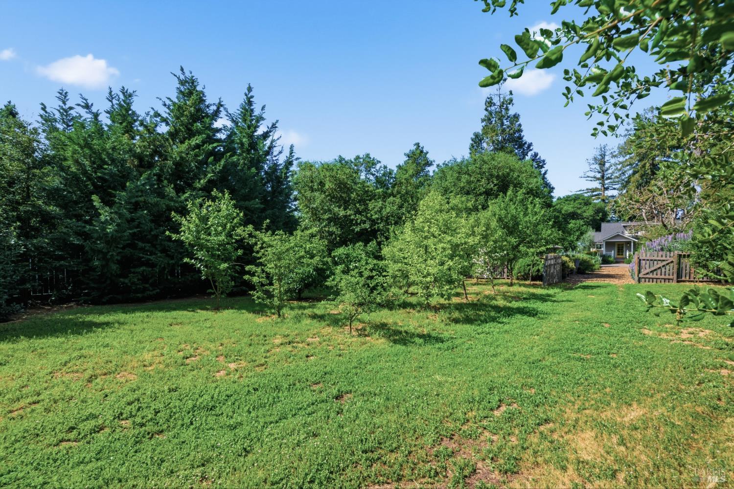 Detail Gallery Image 50 of 58 For 2072 Kirkland Ave, Napa,  CA 94558 - 3 Beds | 2 Baths