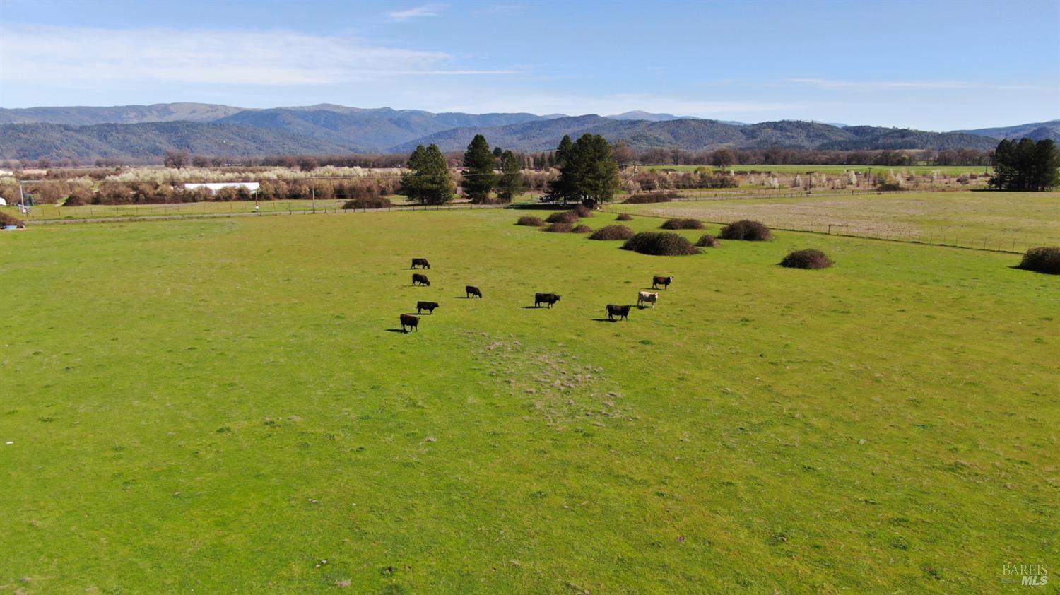 Detail Gallery Image 14 of 21 For 74200 Covelo Rd, Covelo,  CA 95428 - – Beds | – Baths