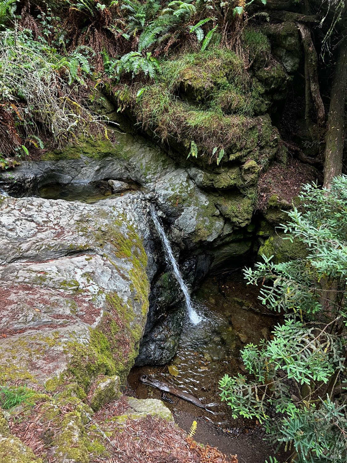 Detail Gallery Image 46 of 50 For Address Is Not Disclosed, Stinson Beach,  CA 94970 - 2 Beds | 2 Baths