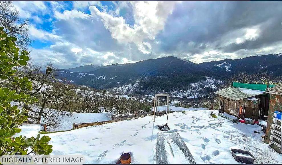 Detail Gallery Image 9 of 11 For 2233 Baywood Way, Willits,  CA 95490 - 1 Beds | 0/1 Baths