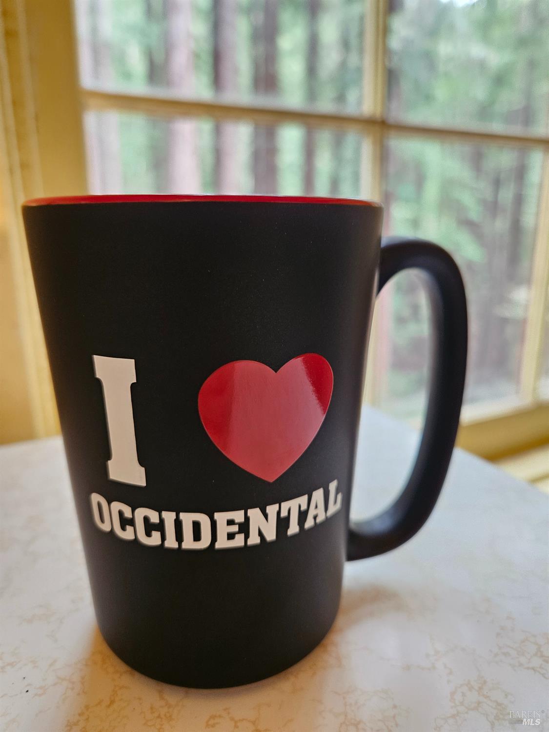 Detail Gallery Image 30 of 32 For 16125 Bittner Rd, Occidental,  CA 95465 - 4 Beds | 2 Baths