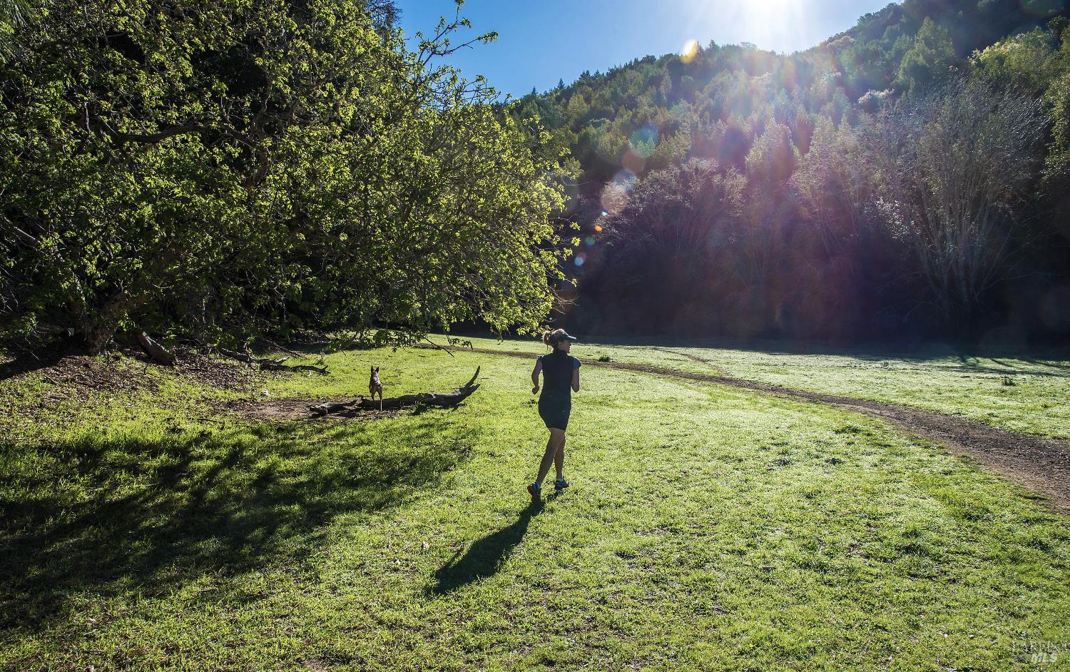 Detail Gallery Image 51 of 58 For 142 Dominga Ave, Fairfax,  CA 94930 - 3 Beds | 2 Baths