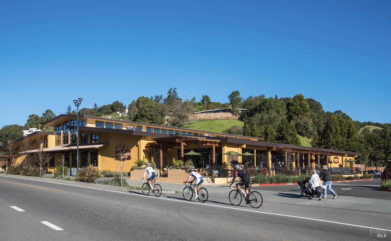 Detail Gallery Image 52 of 58 For 142 Dominga Ave, Fairfax,  CA 94930 - 3 Beds | 2 Baths