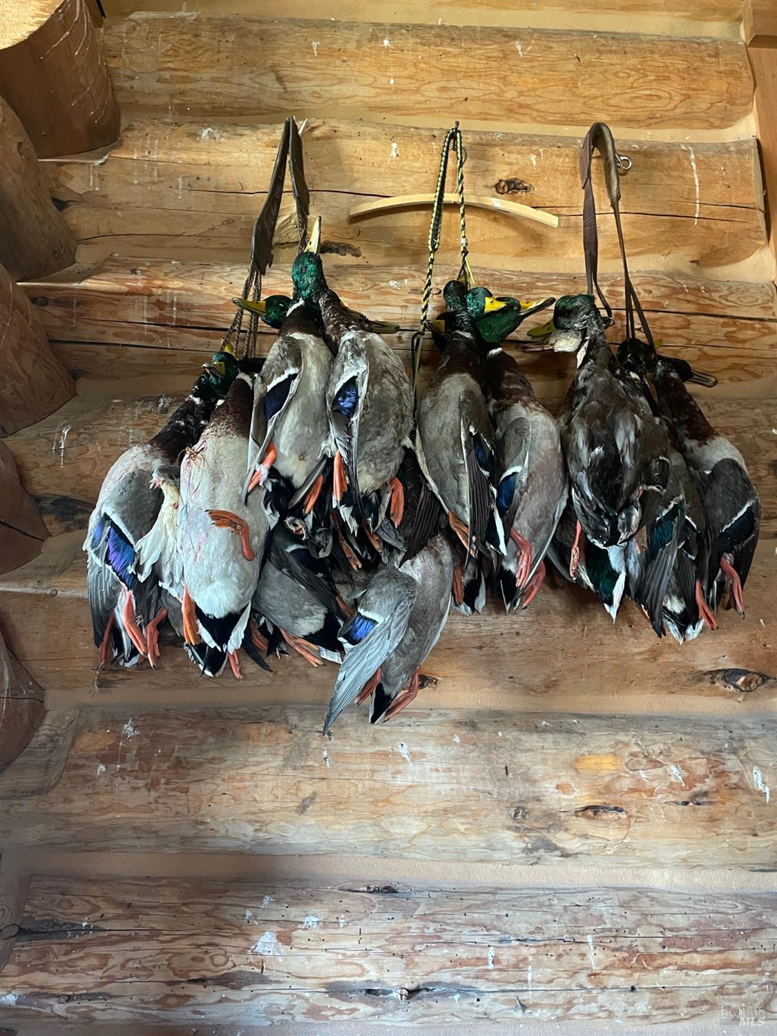 Detail Gallery Image 42 of 42 For 3034 State Line Rd, Dorris,  CA 96023 - 1 Beds | 0/1 Baths