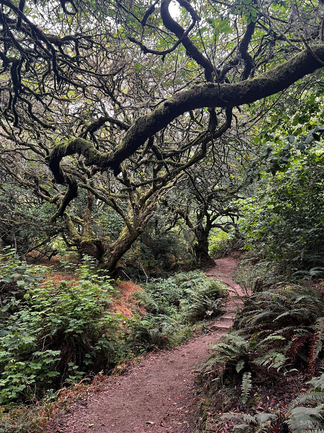 Detail Gallery Image 41 of 50 For Address Is Not Disclosed, Stinson Beach,  CA 94970 - 2 Beds | 2 Baths
