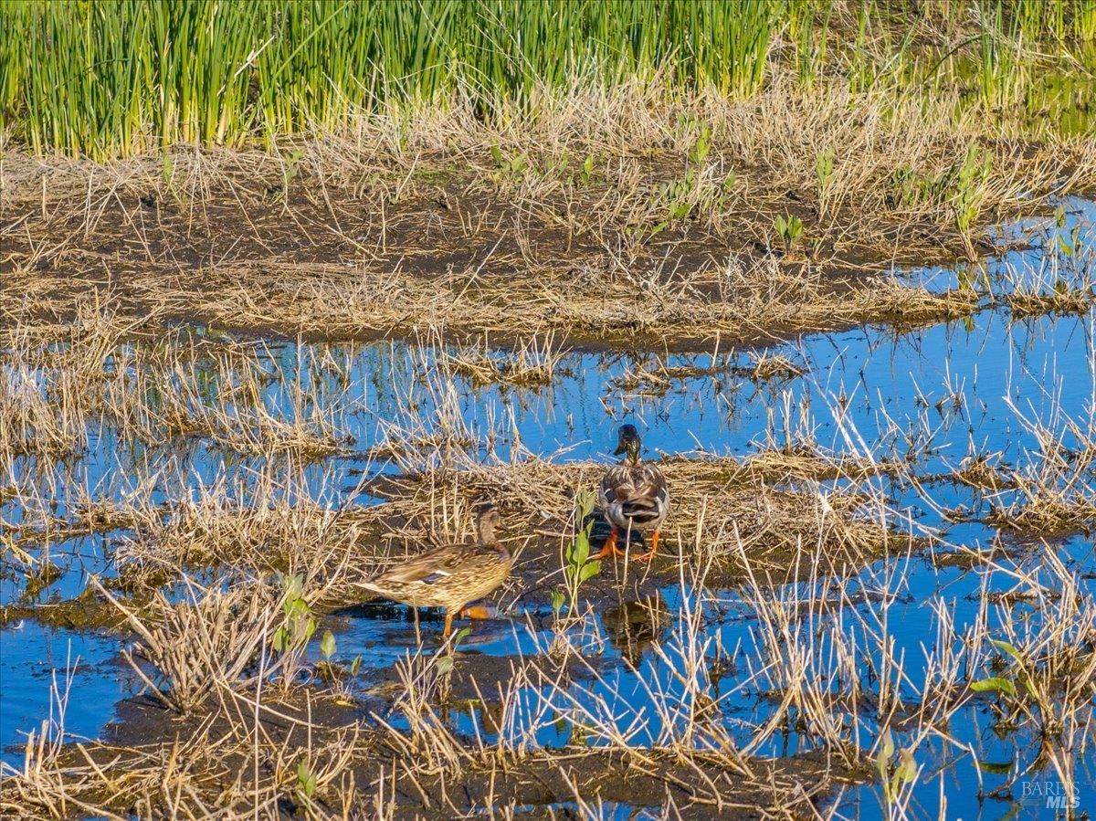 Detail Gallery Image 32 of 42 For 3034 State Line Rd, Dorris,  CA 96023 - 1 Beds | 0/1 Baths