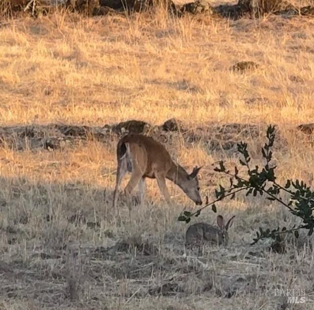 Detail Gallery Image 12 of 36 For 4808 Foxglove Ct, Santa Rosa,  CA 95405 - 4 Beds | 3 Baths