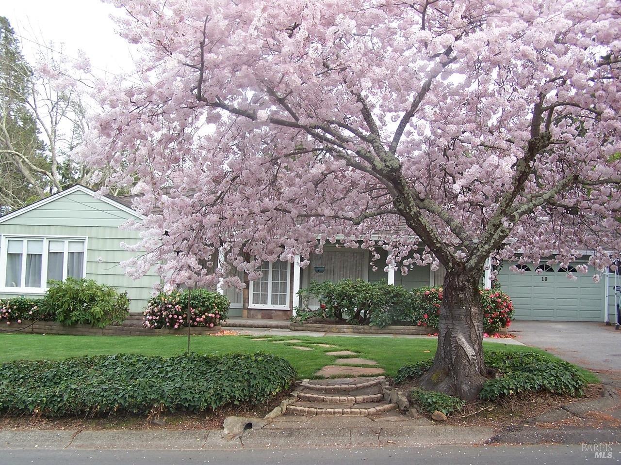 Front Image Thumbnail for BA326023428