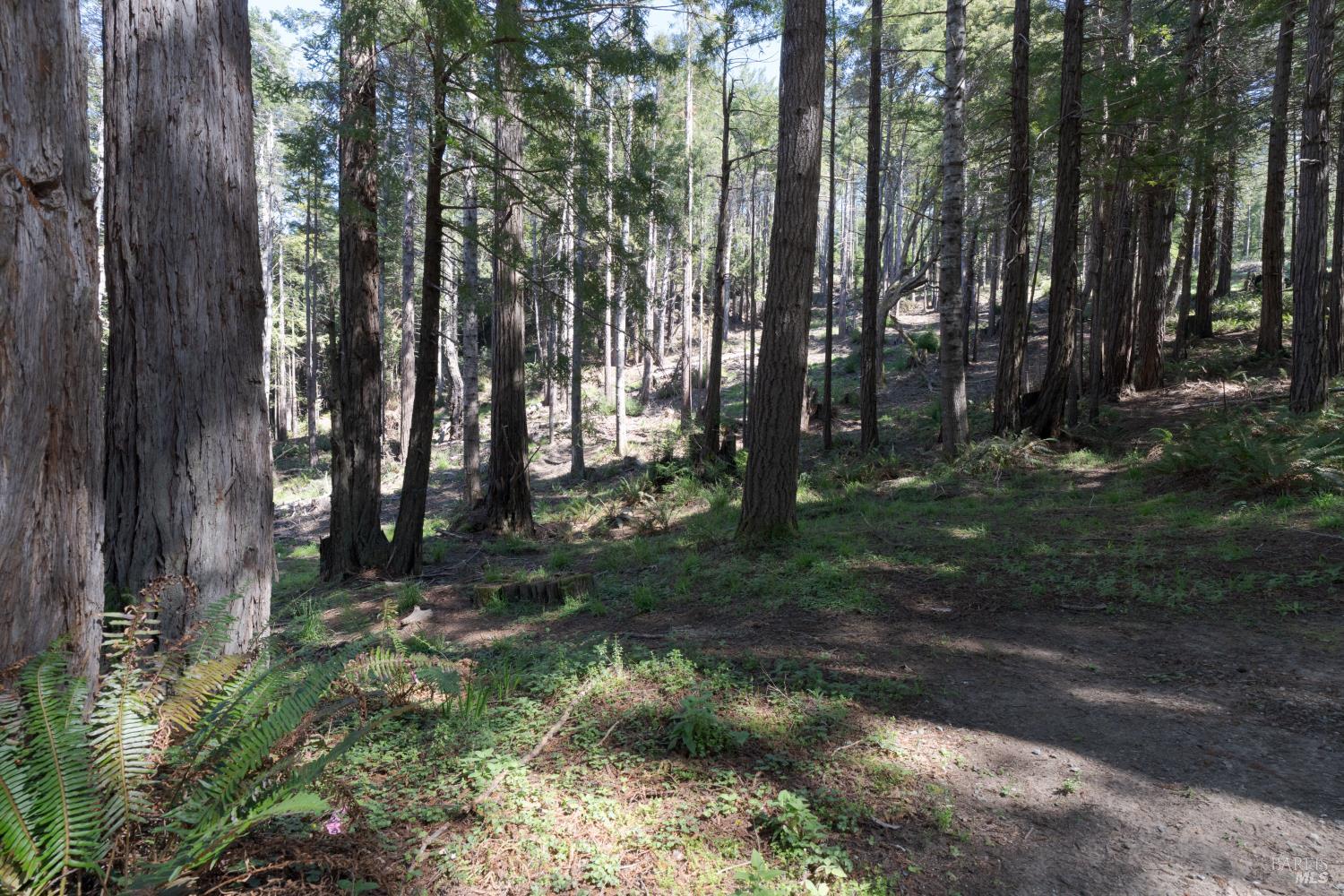 Detail Gallery Image 34 of 42 For 333 Fish Hook Unkn, The Sea Ranch,  CA 95497 - 3 Beds | 3/3 Baths