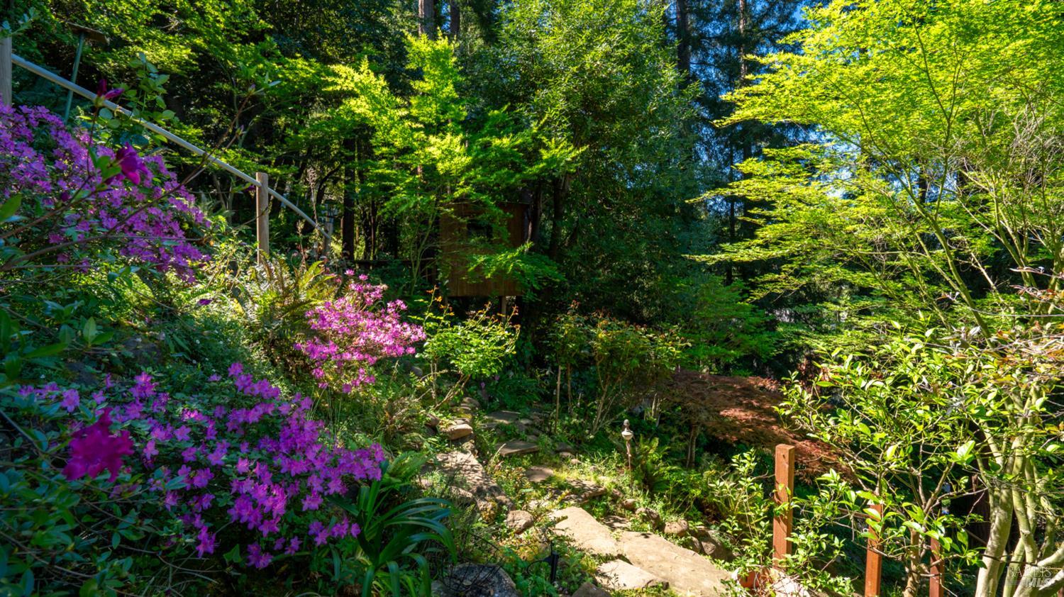 Detail Gallery Image 70 of 77 For 5 Viox Way, San Rafael,  CA 94901 - 4 Beds | 3/1 Baths