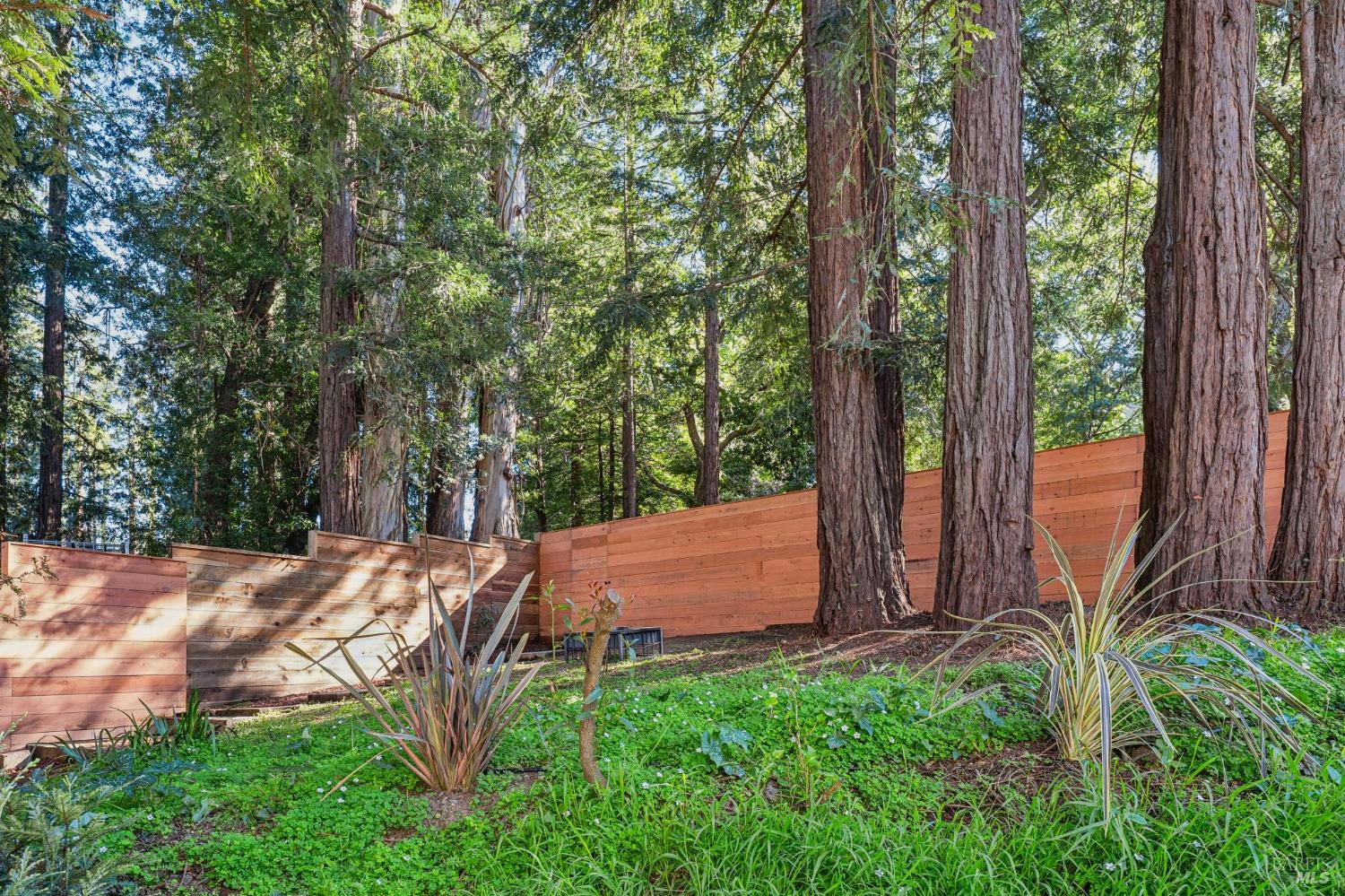 Detail Gallery Image 69 of 88 For 93 Magnolia Ave, Larkspur,  CA 94939 - 3 Beds | 3 Baths