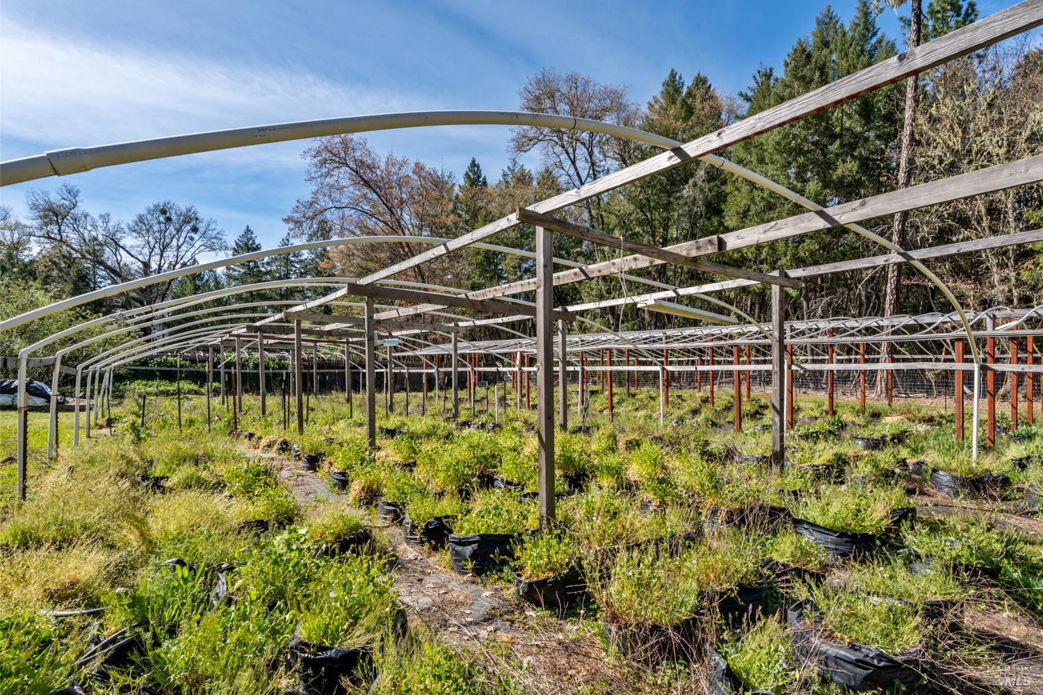 Detail Gallery Image 23 of 25 For 850 Minx Ct, Laytonville,  CA 95454 - 3 Beds | 2 Baths