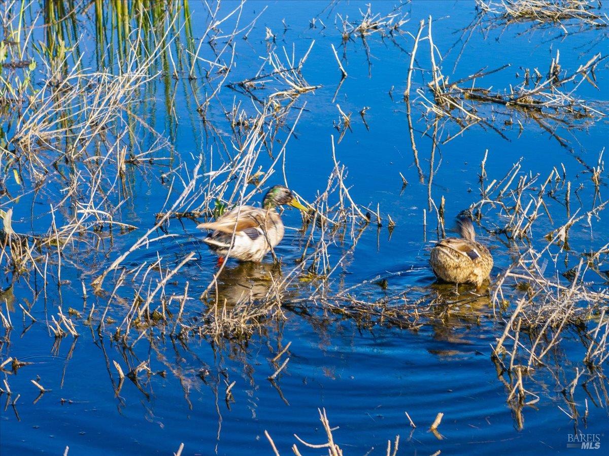 Detail Gallery Image 33 of 42 For 3034 State Line Rd, Dorris,  CA 96023 - 1 Beds | 0/1 Baths