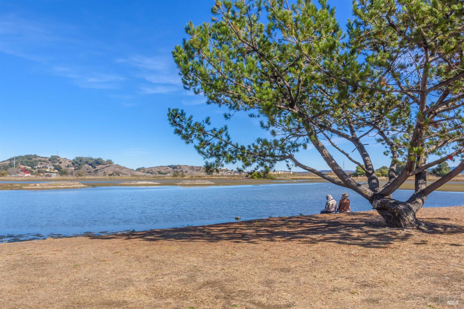 Detail Gallery Image 58 of 65 For 319 Golden Hind Psge, Corte Madera,  CA 94925 - 3 Beds | 2 Baths