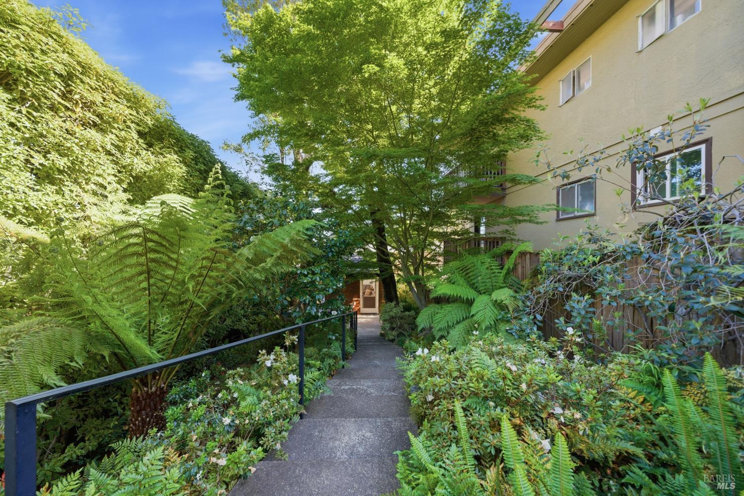 Detail Gallery Image 3 of 50 For 29 Bayview Ave #3,  Mill Valley,  CA 94941 - 2 Beds | 2 Baths