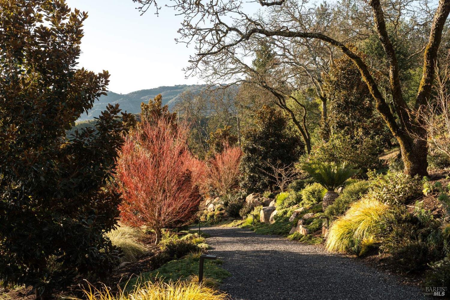 Detail Gallery Image 29 of 45 For Address Is Not Disclosed, Santa Rosa,  CA 95404 - 5 Beds | 7/1 Baths