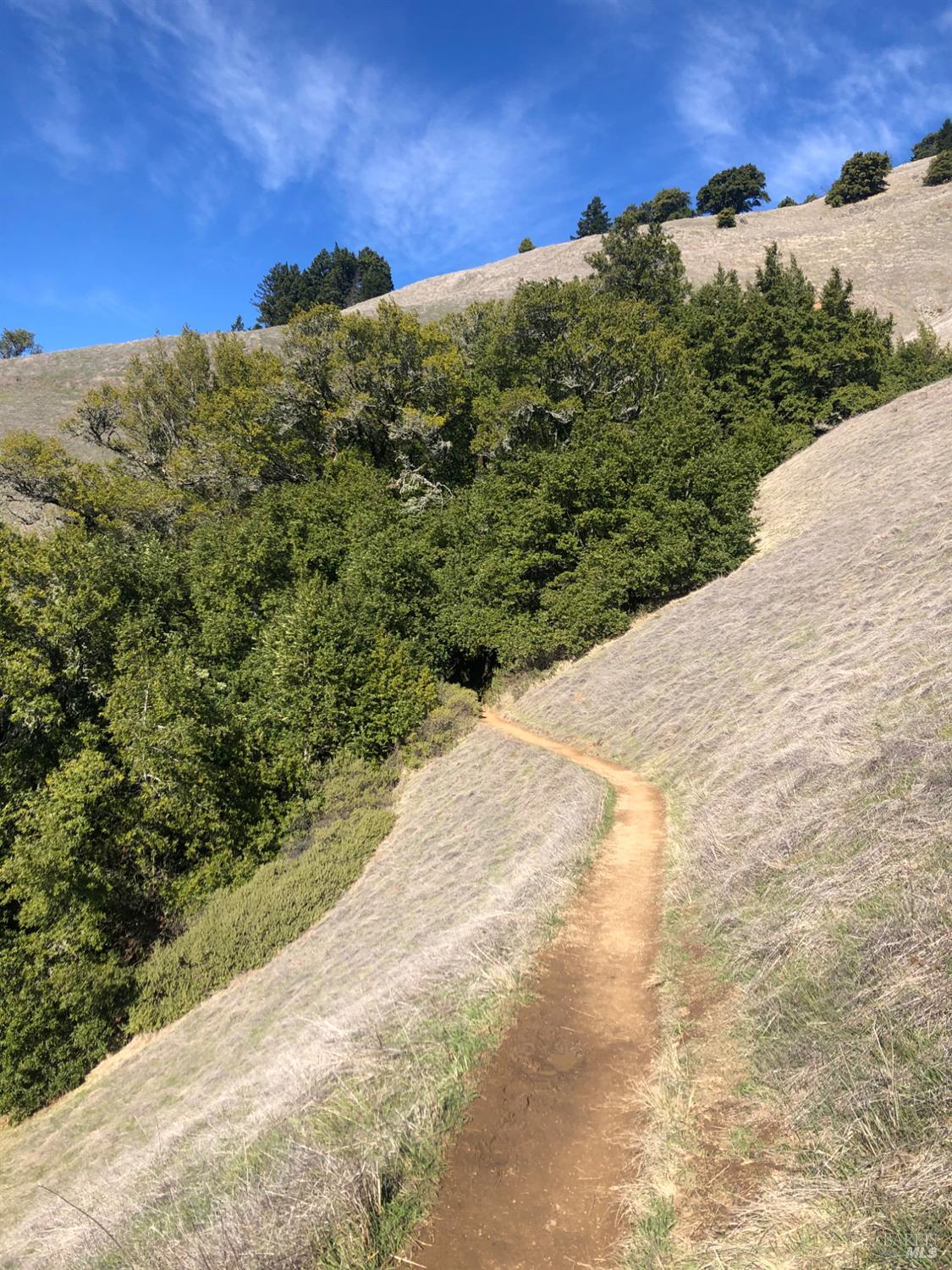Detail Gallery Image 40 of 50 For Address Is Not Disclosed, Stinson Beach,  CA 94970 - 2 Beds | 2 Baths