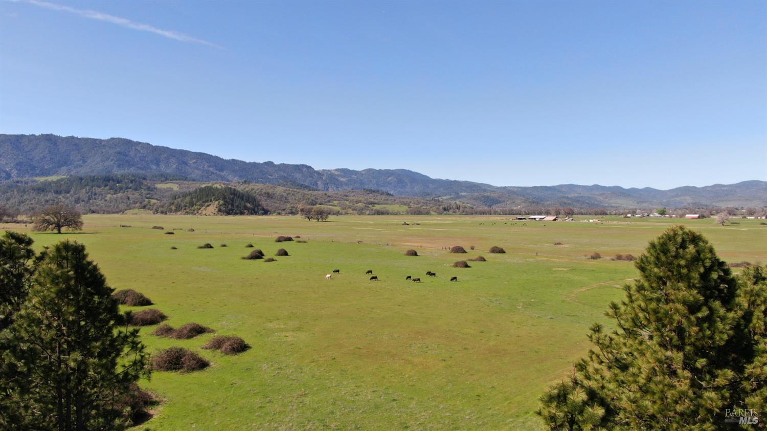 Detail Gallery Image 11 of 21 For 74200 Covelo Rd, Covelo,  CA 95428 - – Beds | – Baths