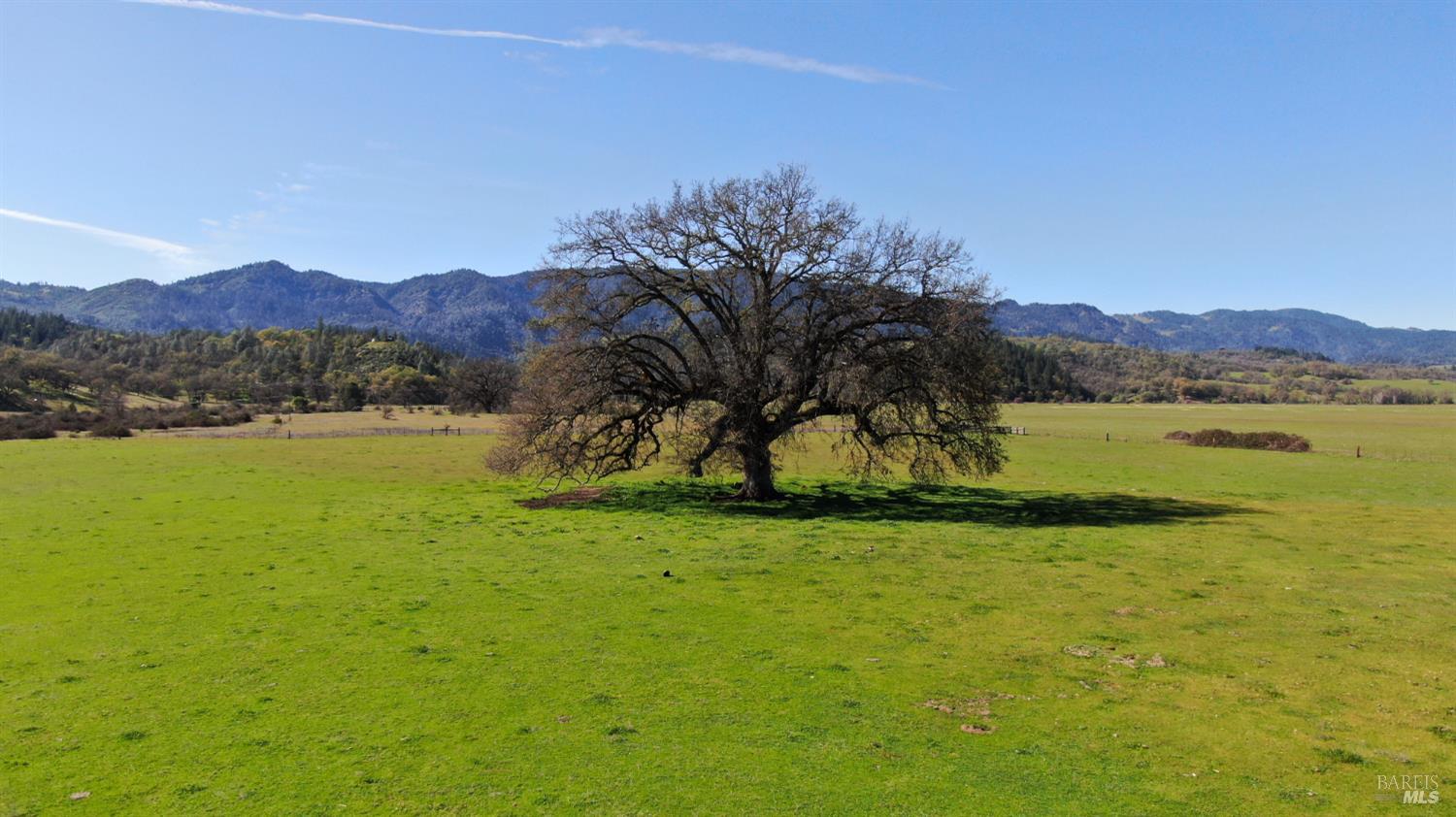 Front Image Thumbnail for BA326020353