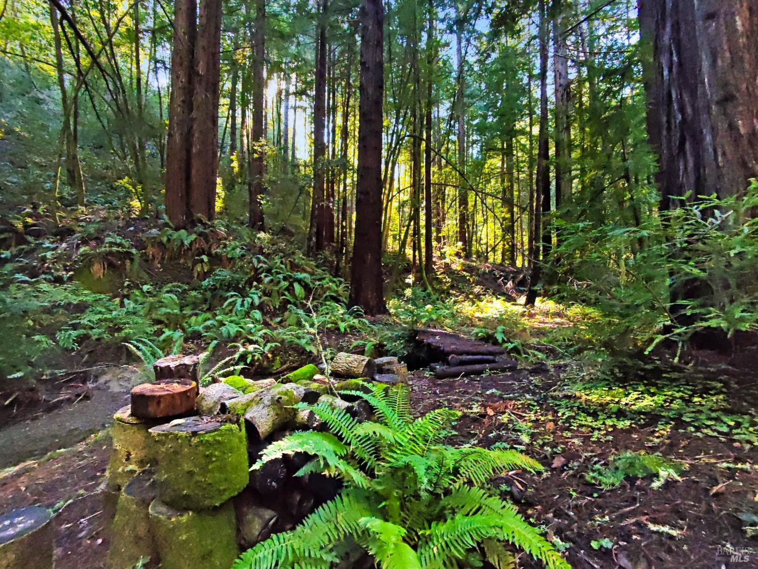 Detail Gallery Image 26 of 32 For 16125 Bittner Rd, Occidental,  CA 95465 - 4 Beds | 2 Baths