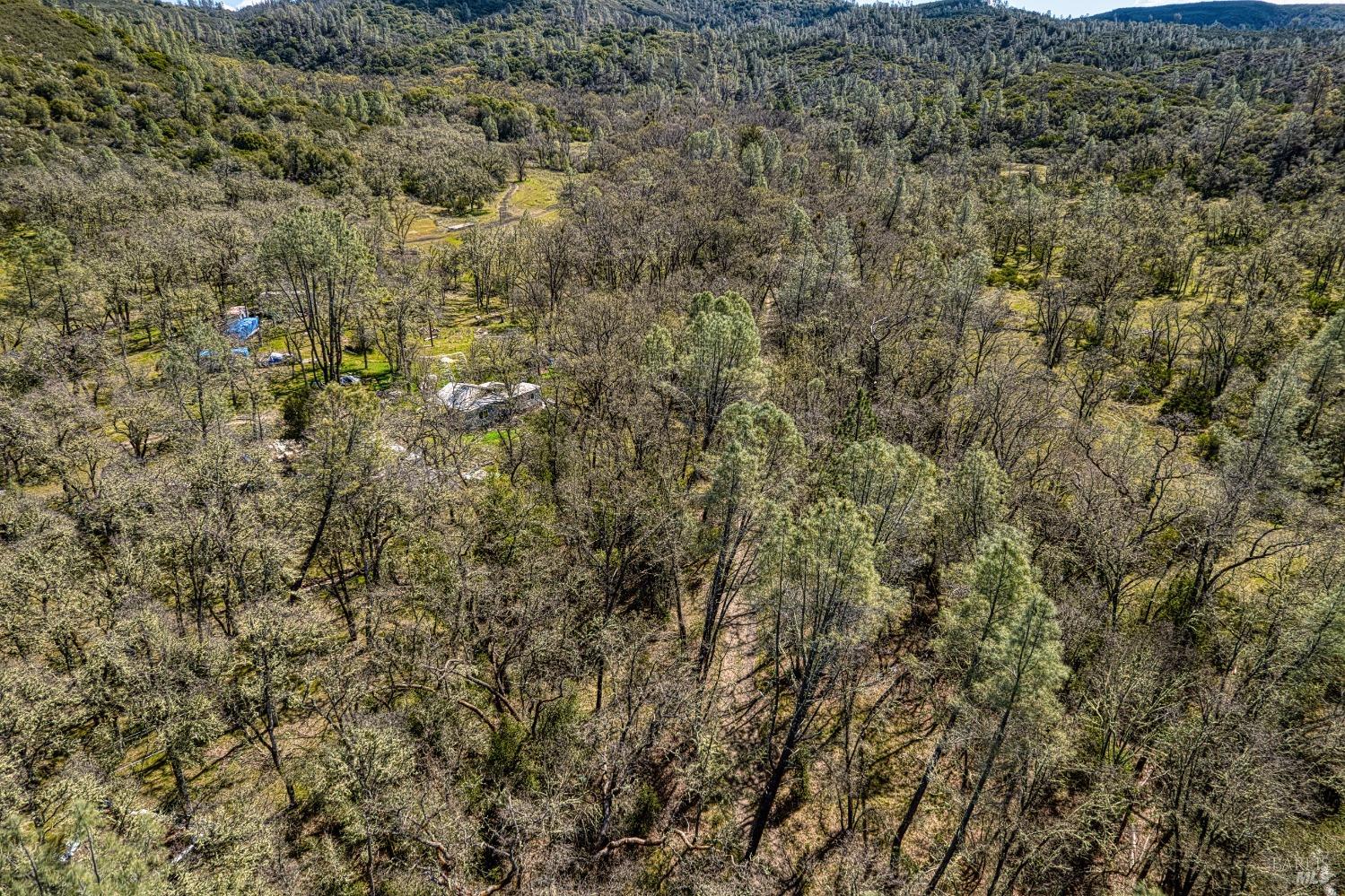 Detail Gallery Image 24 of 28 For 9200 Kelsey Creek Dr, Kelseyville,  CA 95451 - – Beds | – Baths