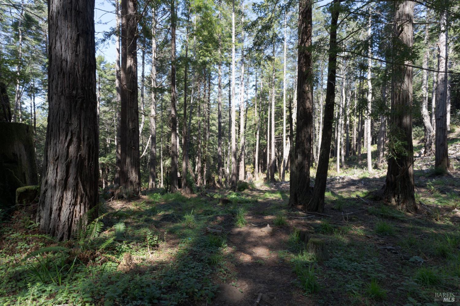 Detail Gallery Image 30 of 42 For 333 Fish Hook Unkn, The Sea Ranch,  CA 95497 - 3 Beds | 3/3 Baths