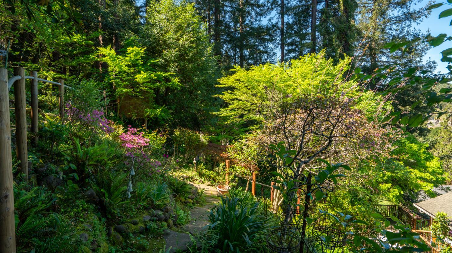 Detail Gallery Image 68 of 77 For 5 Viox Way, San Rafael,  CA 94901 - 4 Beds | 3/1 Baths