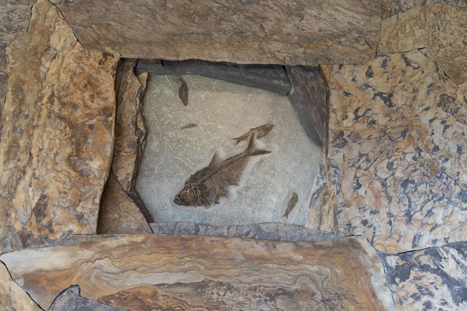 Detail Gallery Image 23 of 75 For 40445 Tide Pool Unkn, The Sea Ranch,  CA 95497 - 3 Beds | 3/1 Baths