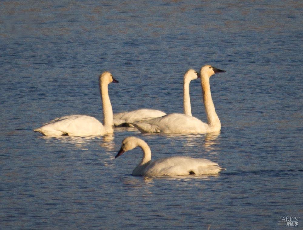 Detail Gallery Image 37 of 42 For 3034 State Line Rd, Dorris,  CA 96023 - 1 Beds | 0/1 Baths