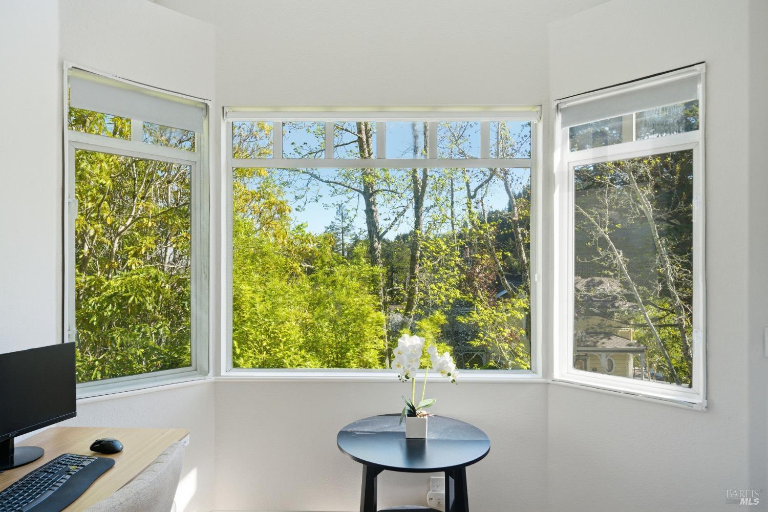 Detail Gallery Image 29 of 50 For 29 Bayview Ave #3,  Mill Valley,  CA 94941 - 2 Beds | 2 Baths