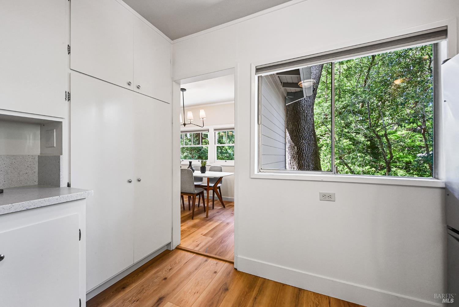 Detail Gallery Image 26 of 62 For 241 Floribel Ave, San Anselmo,  CA 94960 - 3 Beds | 2 Baths