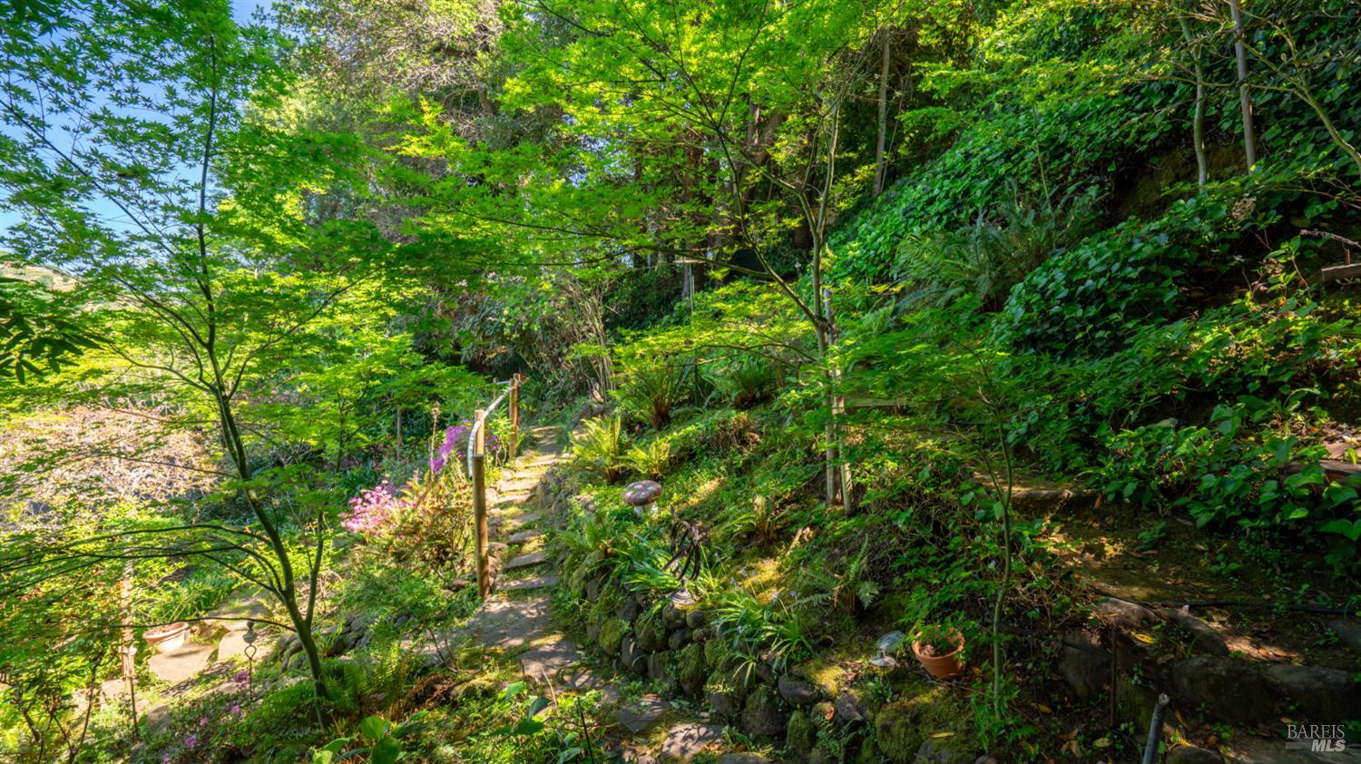 Detail Gallery Image 64 of 77 For 5 Viox Way, San Rafael,  CA 94901 - 4 Beds | 3/1 Baths