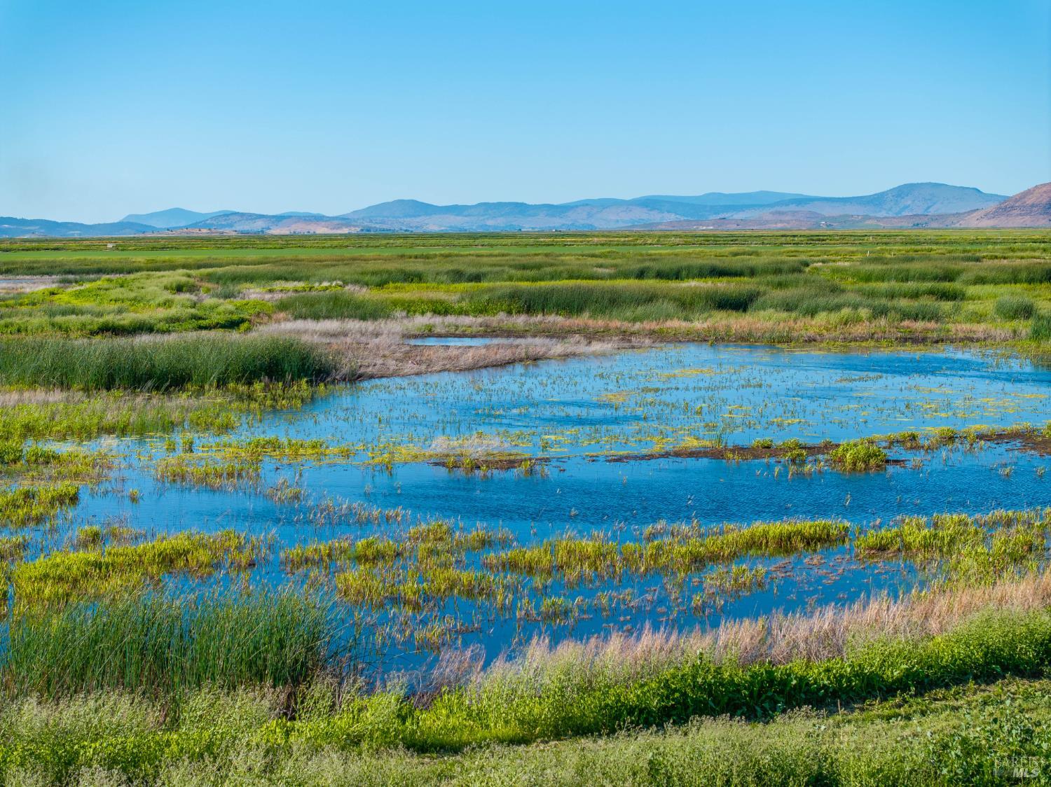 Detail Gallery Image 4 of 42 For 3034 State Line Rd, Dorris,  CA 96023 - 1 Beds | 0/1 Baths