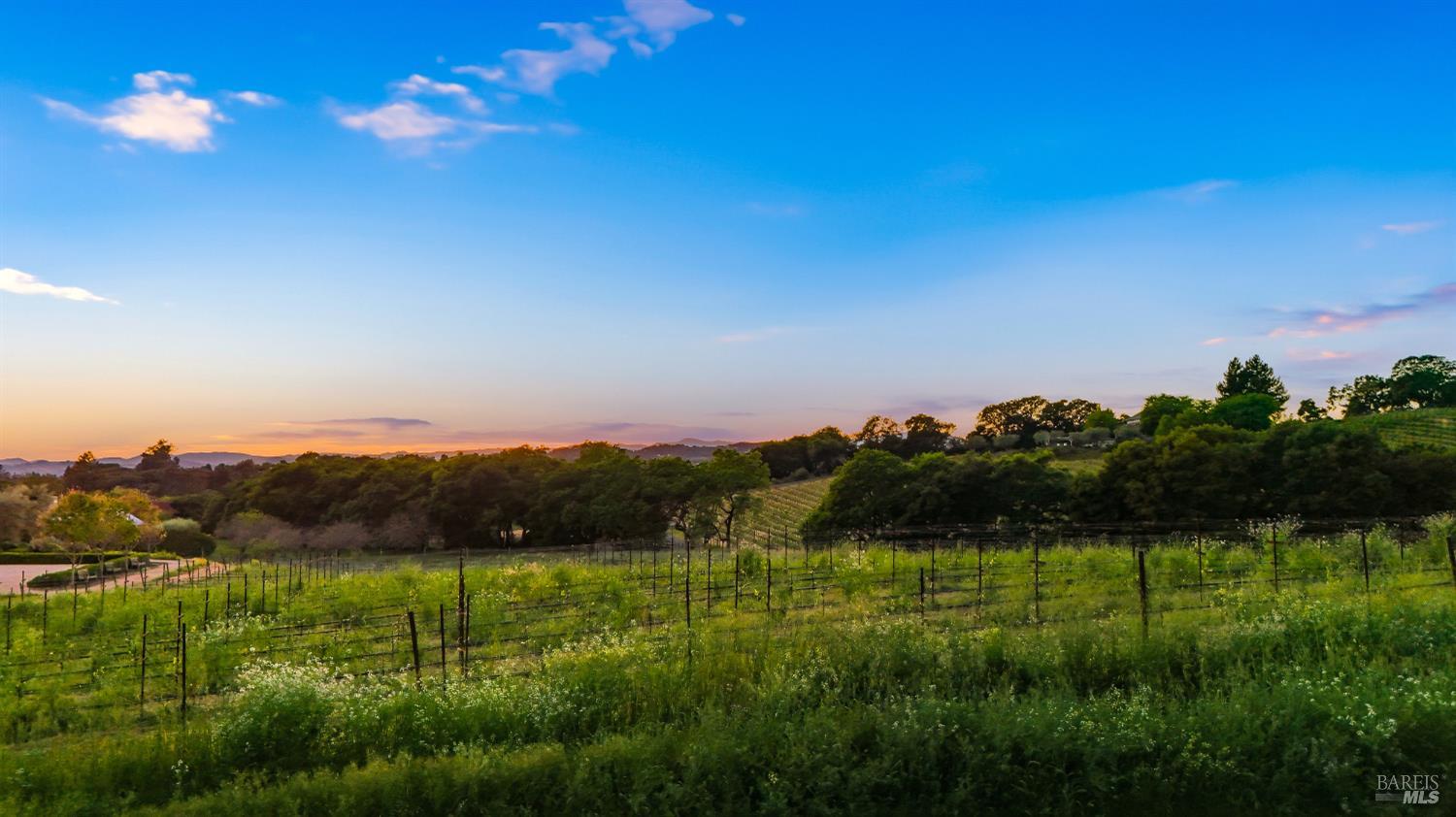 Detail Gallery Image 56 of 58 For 2072 Kirkland Ave, Napa,  CA 94558 - 3 Beds | 2 Baths