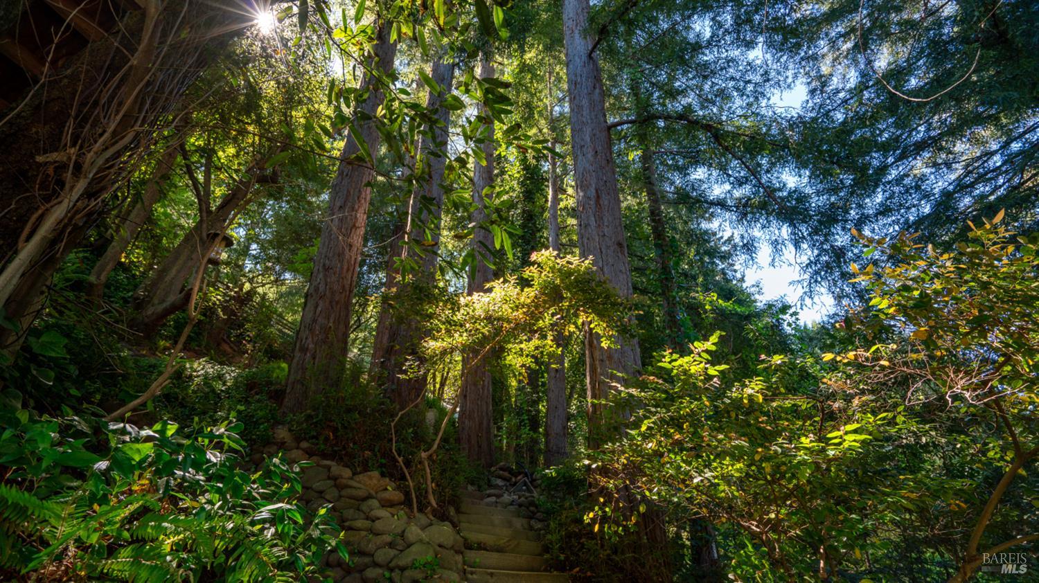 Detail Gallery Image 65 of 77 For 5 Viox Way, San Rafael,  CA 94901 - 4 Beds | 3/1 Baths