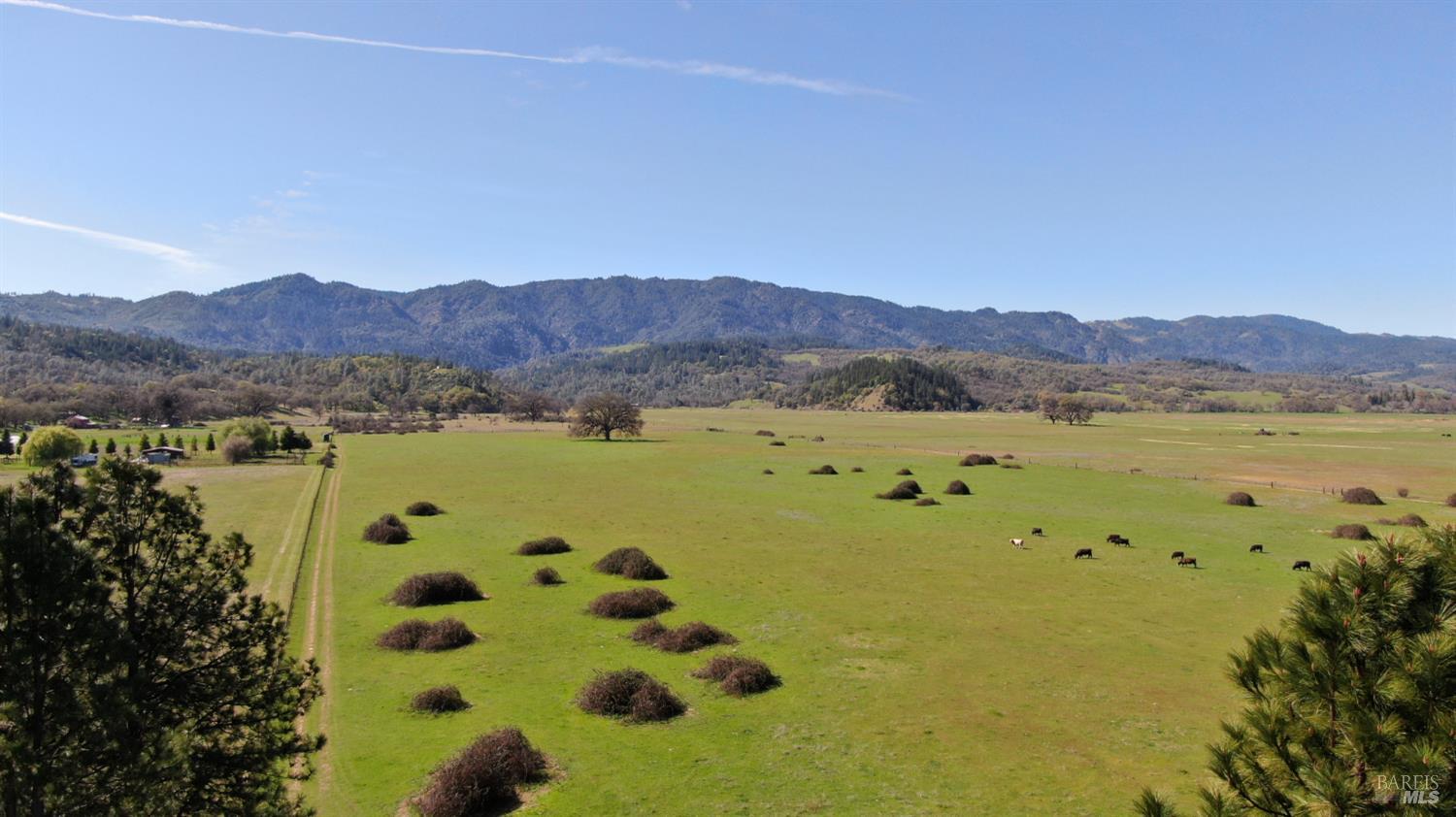 Detail Gallery Image 13 of 21 For 74200 Covelo Rd, Covelo,  CA 95428 - – Beds | – Baths