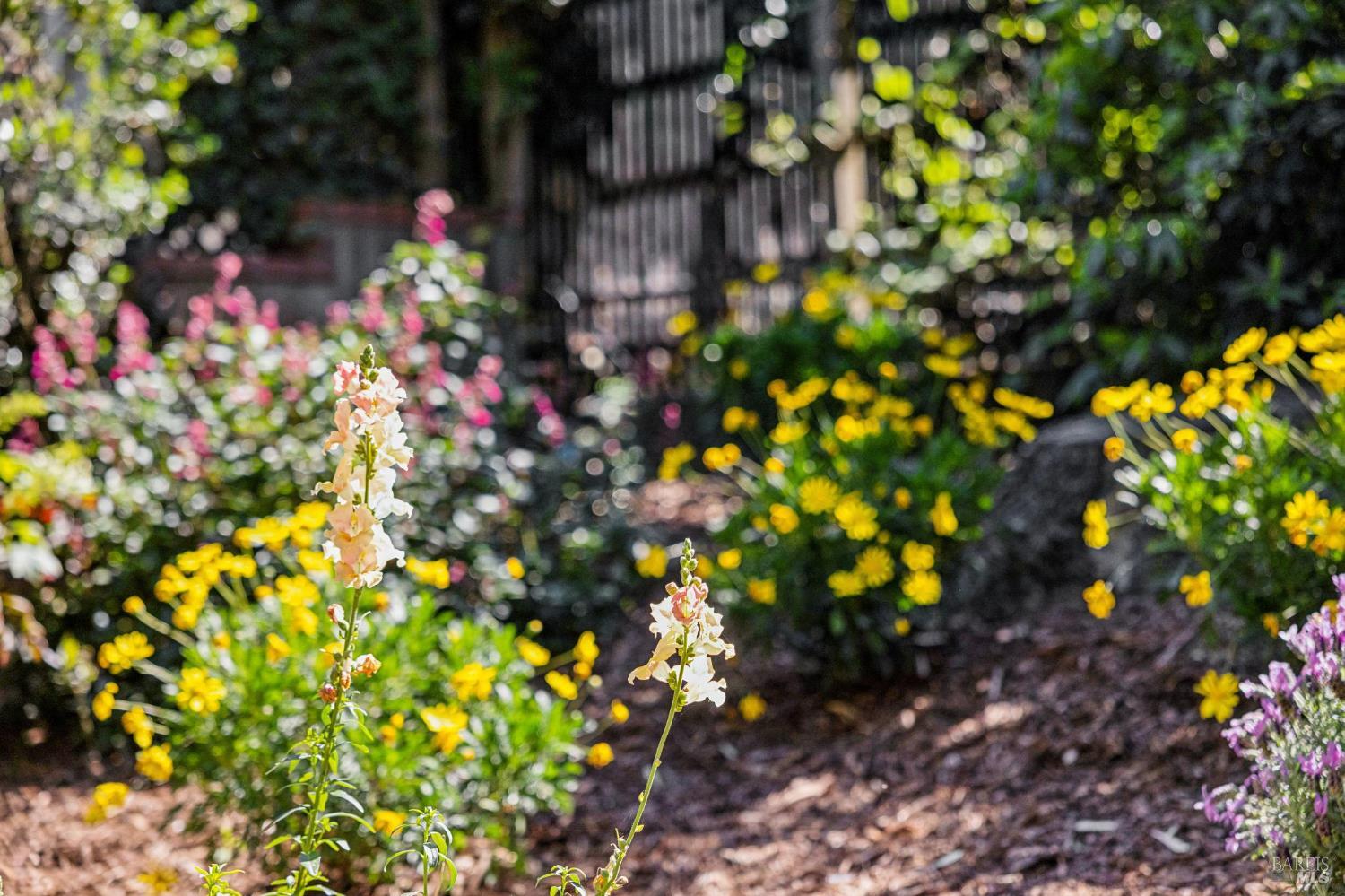 Detail Gallery Image 79 of 93 For 47 Main Dr, San Rafael,  CA 94901 - 4 Beds | 5 Baths