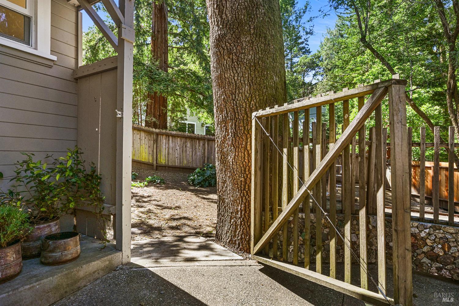 Detail Gallery Image 53 of 62 For 241 Floribel Ave, San Anselmo,  CA 94960 - 3 Beds | 2 Baths