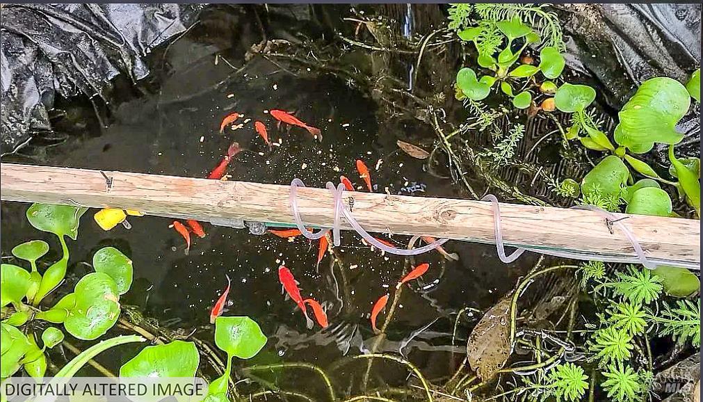 Detail Gallery Image 4 of 11 For 2233 Baywood Way, Willits,  CA 95490 - 1 Beds | 0/1 Baths