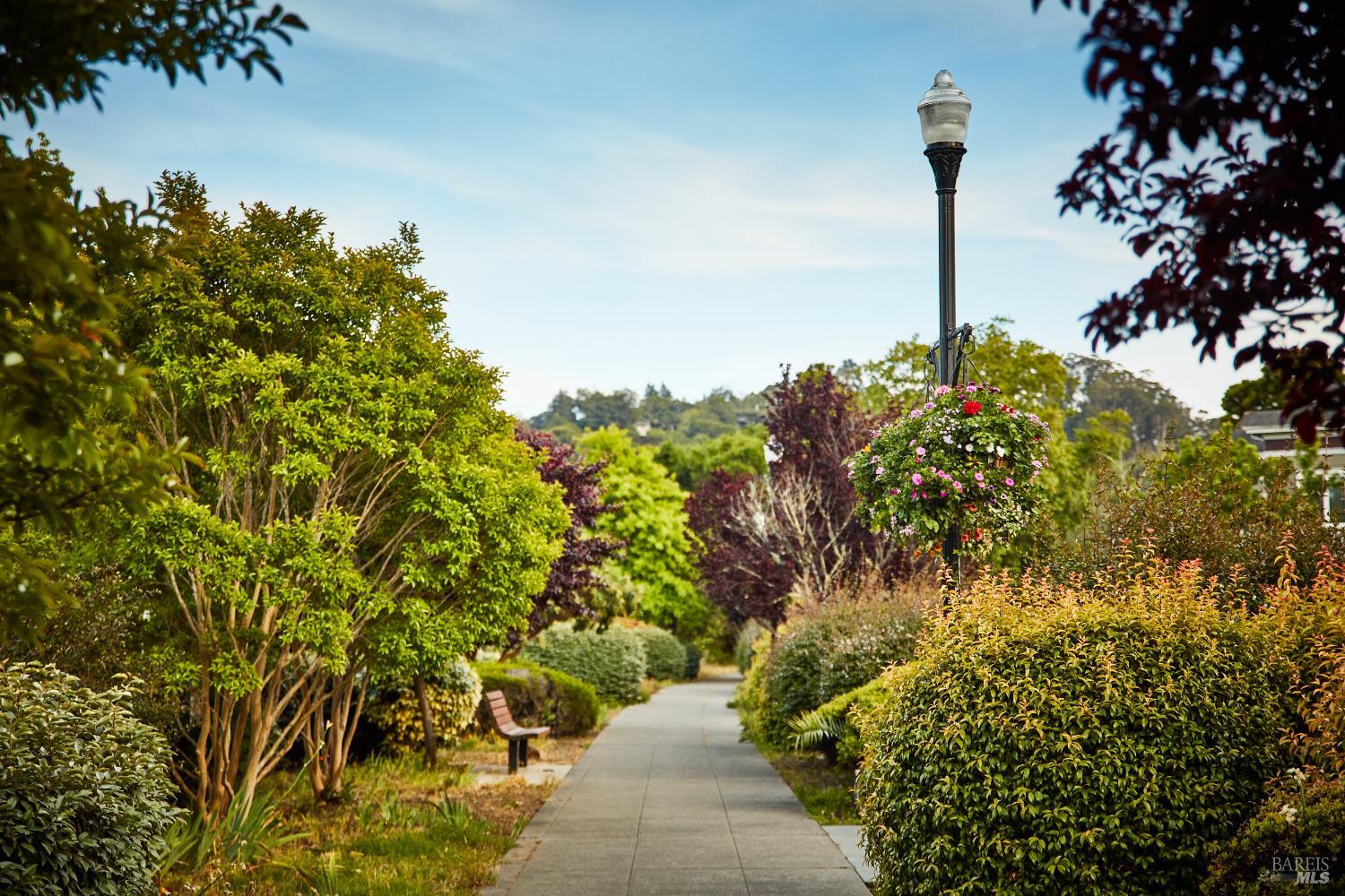 Detail Gallery Image 60 of 65 For 319 Golden Hind Psge, Corte Madera,  CA 94925 - 3 Beds | 2 Baths