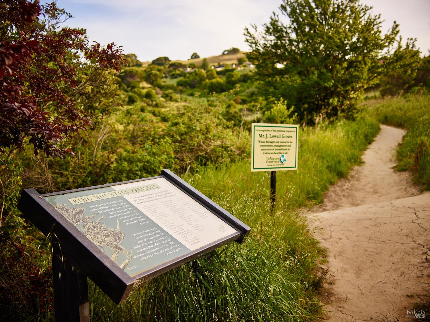 Detail Gallery Image 62 of 65 For 319 Golden Hind Psge, Corte Madera,  CA 94925 - 3 Beds | 2 Baths