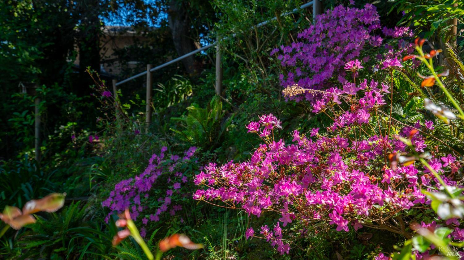 Detail Gallery Image 69 of 77 For 5 Viox Way, San Rafael,  CA 94901 - 4 Beds | 3/1 Baths