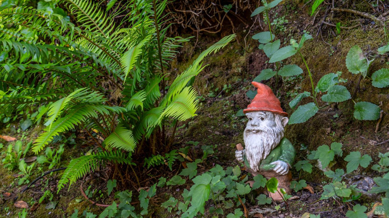 Detail Gallery Image 66 of 77 For 5 Viox Way, San Rafael,  CA 94901 - 4 Beds | 3/1 Baths