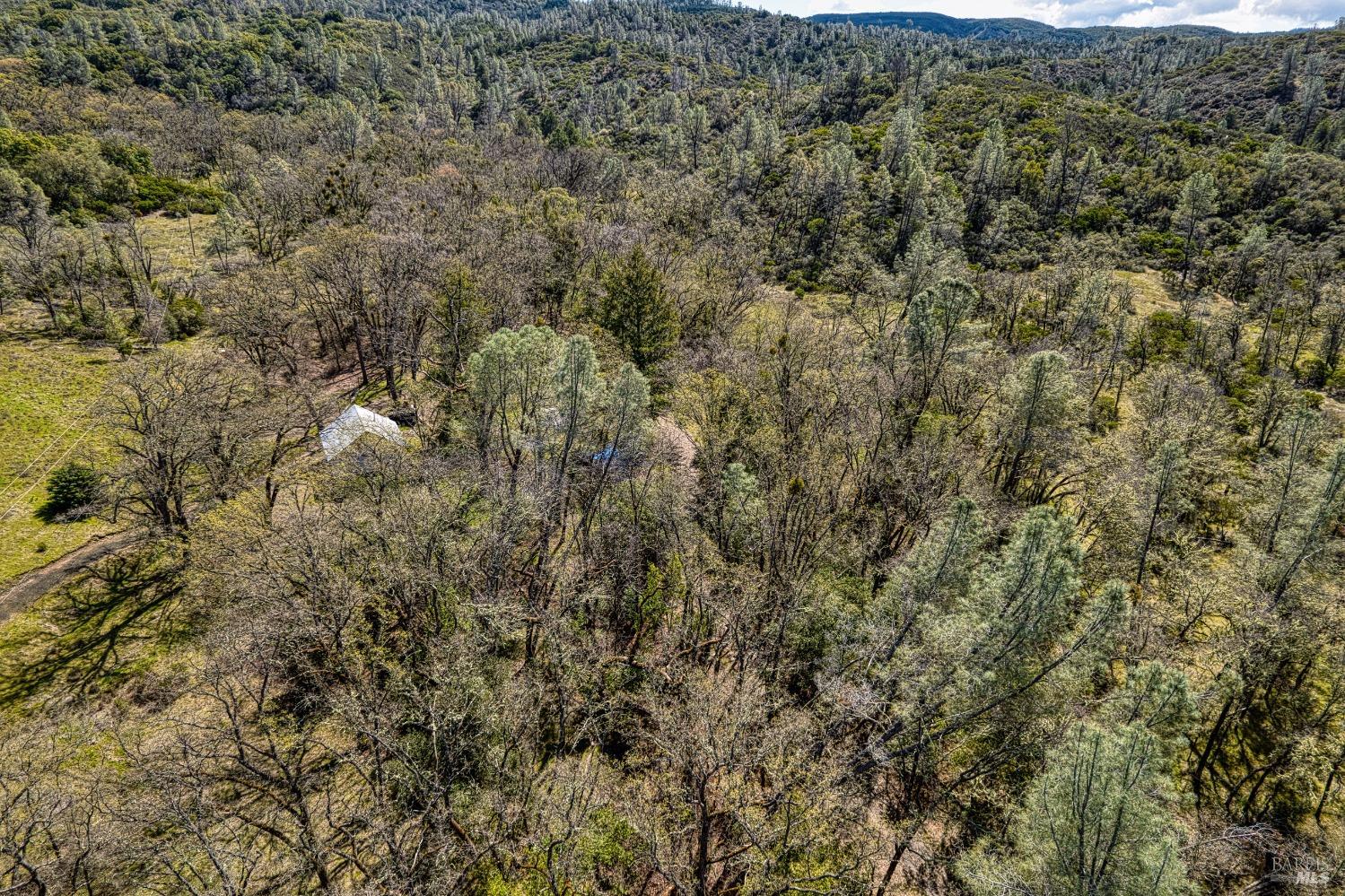 Detail Gallery Image 26 of 28 For 9200 Kelsey Creek Dr, Kelseyville,  CA 95451 - – Beds | – Baths