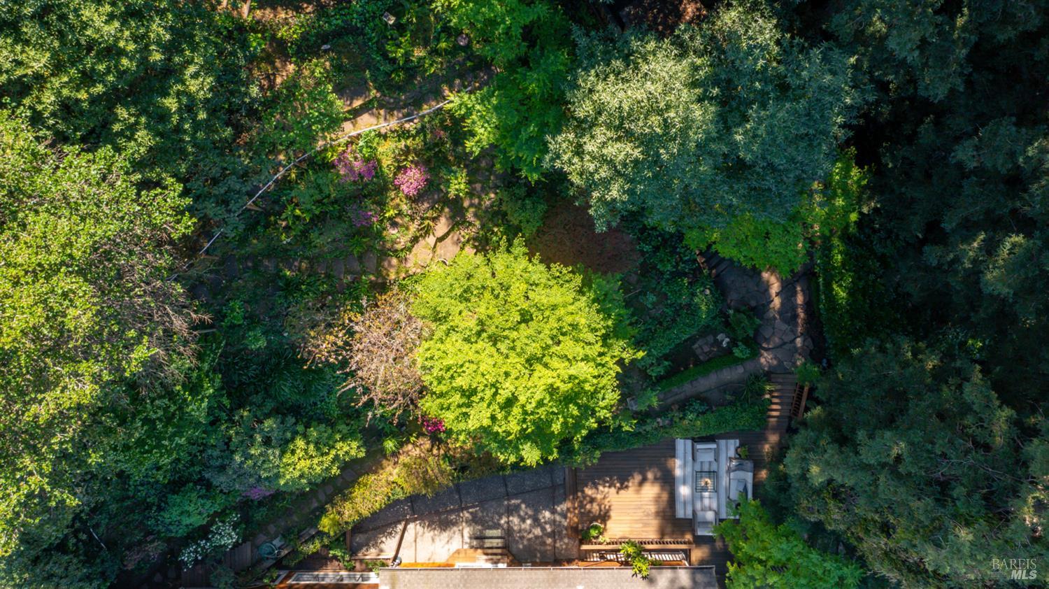 Detail Gallery Image 73 of 77 For 5 Viox Way, San Rafael,  CA 94901 - 4 Beds | 3/1 Baths