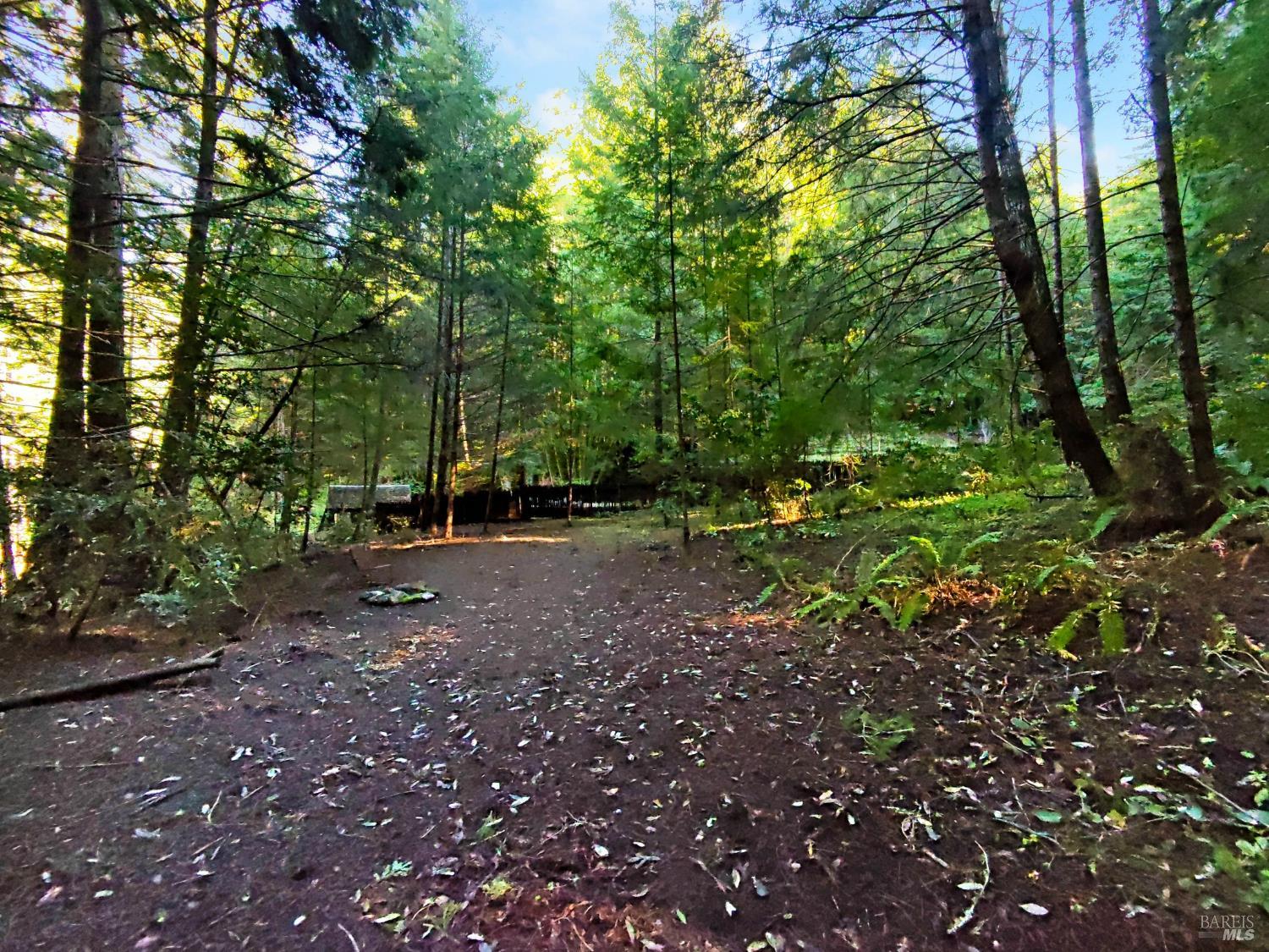 Detail Gallery Image 21 of 32 For 16125 Bittner Rd, Occidental,  CA 95465 - 4 Beds | 2 Baths