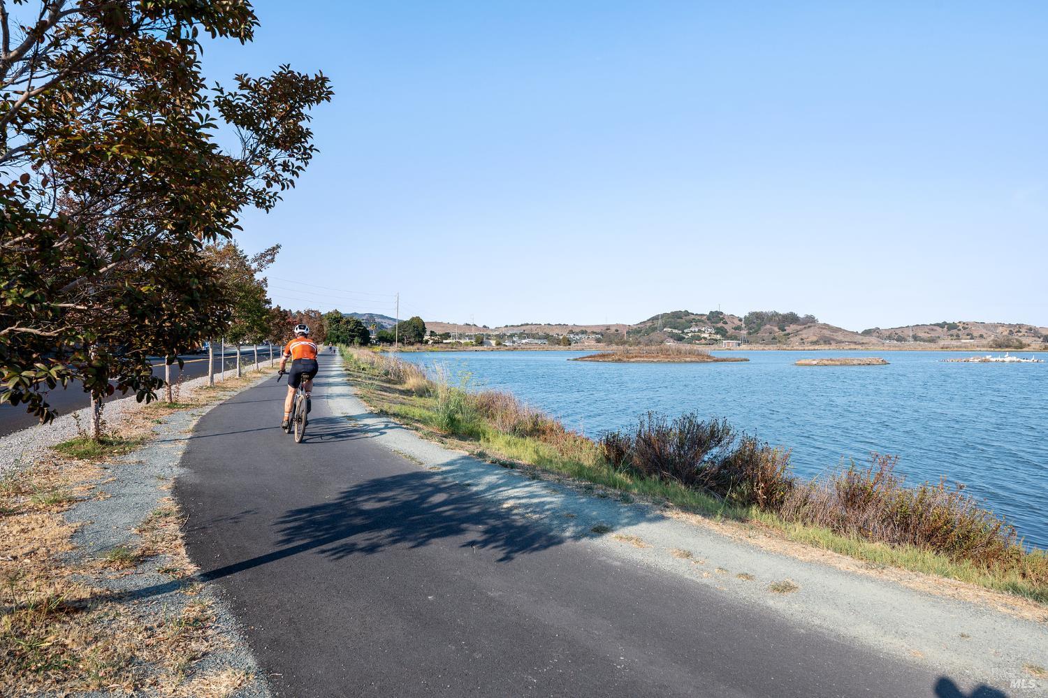 Detail Gallery Image 59 of 65 For 319 Golden Hind Psge, Corte Madera,  CA 94925 - 3 Beds | 2 Baths