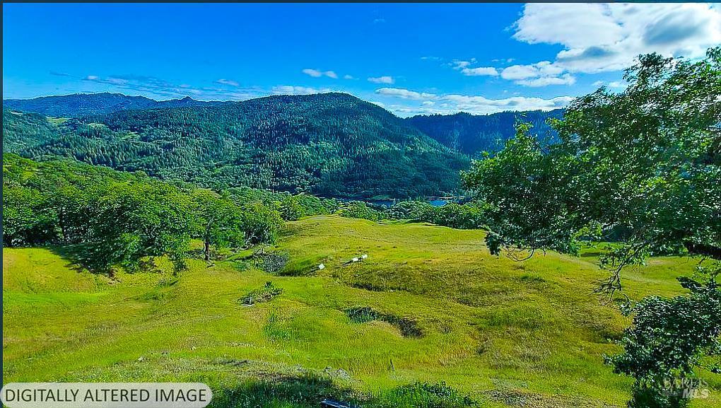 Detail Gallery Image 11 of 11 For 2233 Baywood Way, Willits,  CA 95490 - 1 Beds | 0/1 Baths