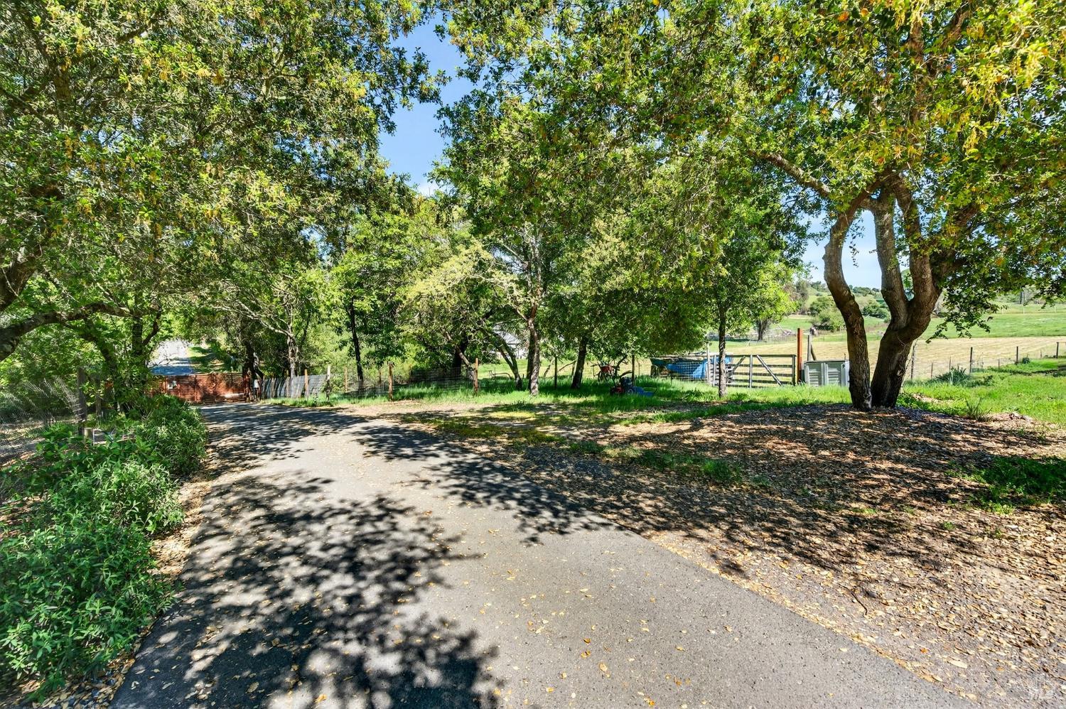 Detail Gallery Image 21 of 22 For 0 Limerick Ln, Healdsburg,  CA 95448 - – Beds | – Baths